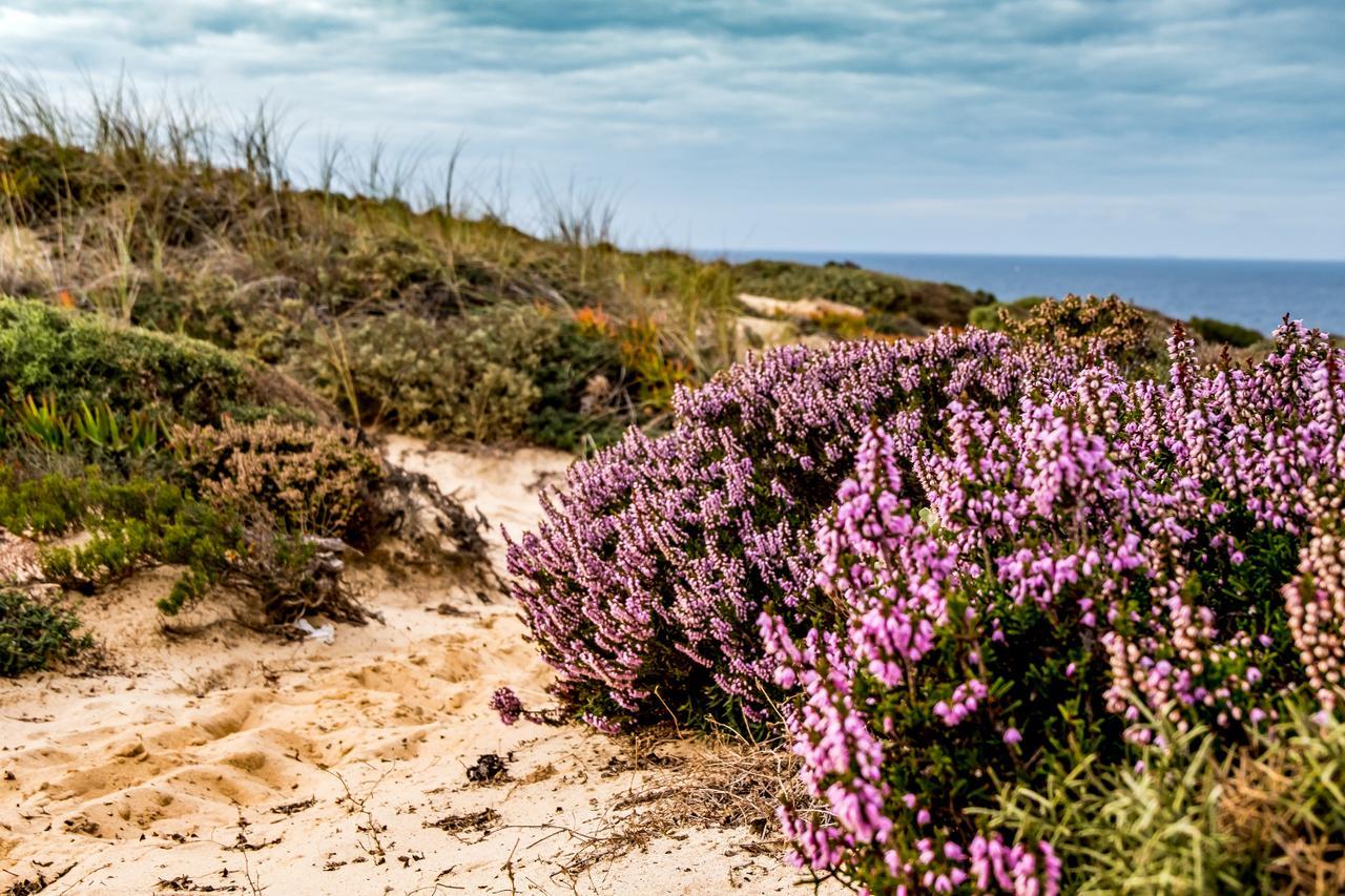 Penzion Monte Soalheiro Zambujeira do Mar Exteriér fotografie